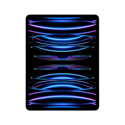 iPad APPLE MP213LZ/A