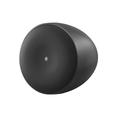 Altavoz Colgante Comercial | 6.5 in | 2 Vias 300w | 8 Ohms | 70v/100v | Negro