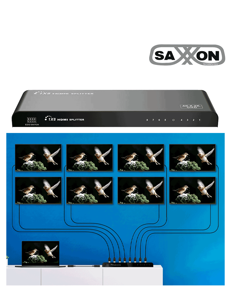 SAXXON LKV318HDR-V2.0 - Divisor de Video HDMI de 1 Entrada y 8 Salidas/ Soporta Resolución Ultra HD 4K&2K @30 Hz/ Distancia de 10 Metros en Entrada y Salida/ Switch EDID/