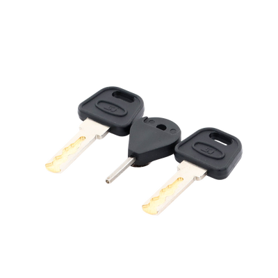 Llave de Puerta de Estación de Panico DS-PEA3M-21 / DS-PEA3M-21H (Repuesto)