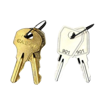 Kit De Llaves De Repuesto y Acceso Para Gabinetes FireNet FireNet Plus y FireNet L@titude (0100-03380)