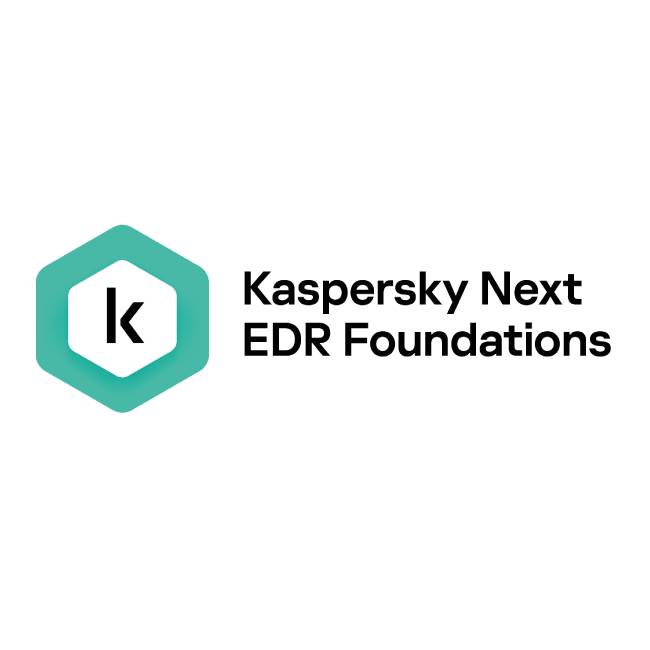 KASPERSKY KL4065ZAQTS