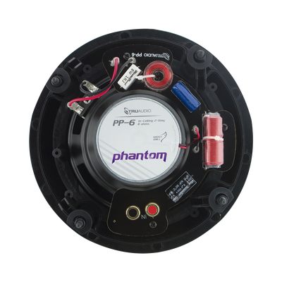 Altavoz de techo de 2 vias | woofer de 6.5in | Tweeter de 1in | 90 watts | 8 Ohms