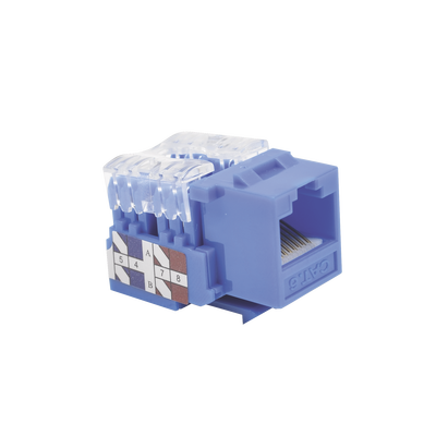 Módulo Jack 110 Cat6  Keystone para faceplate - Color Azul