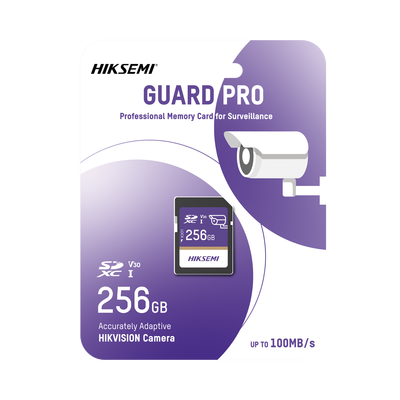 Memoria SD Clase 10 de 256 GB / Especializada Para Videovigilancia