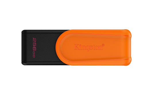 Memorias USB Kingston Technology DTXS/256GB